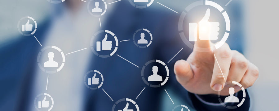 Online Reputation Management