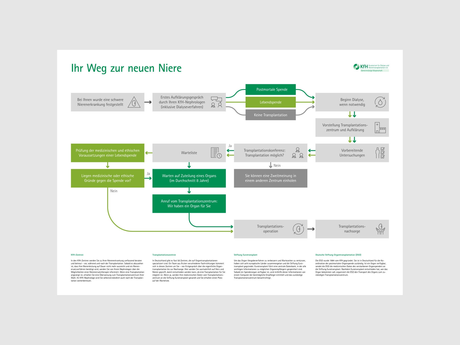 Schaubild Nierentransplantation